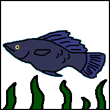 Моро